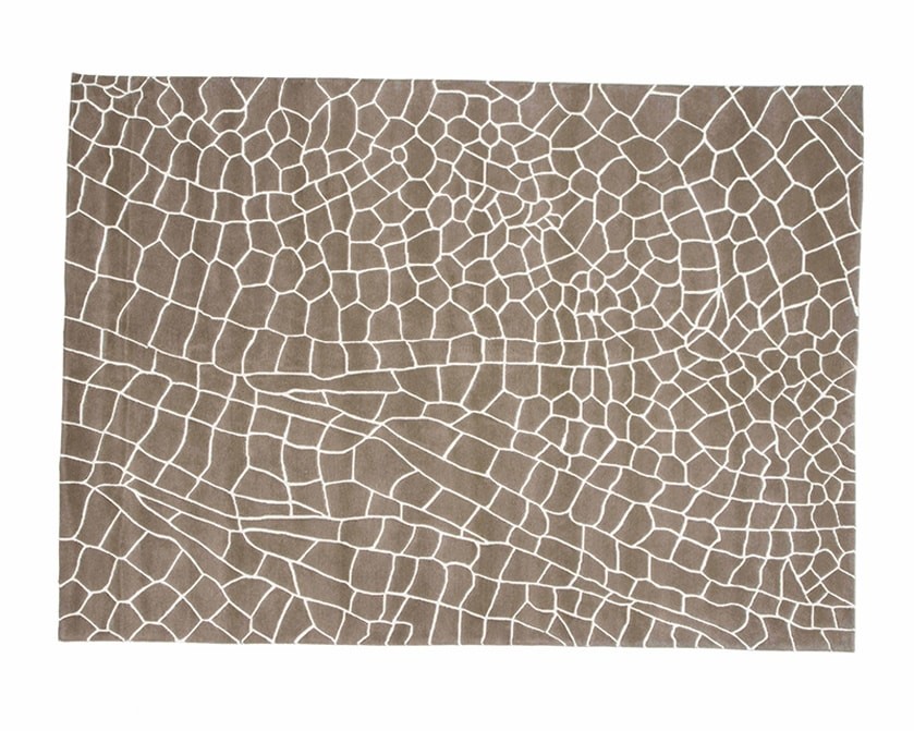 Dragonfly Rug