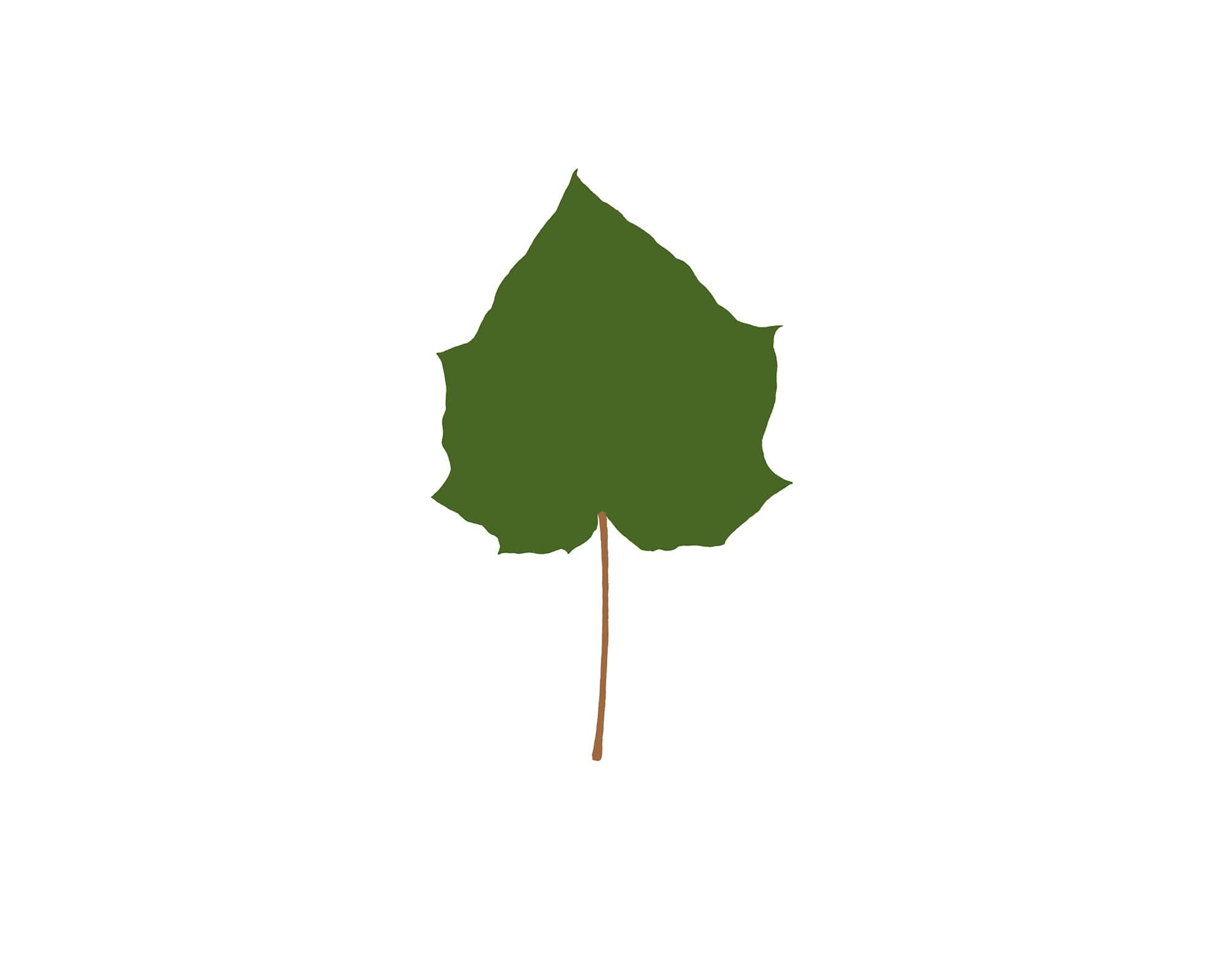 Leaves Art